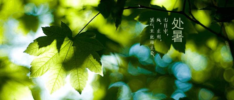 秋游指南丨跟上這班秋季列車,全景領略各地最美秋景-酷雷曼VR全景 秋游指南丨跟上這班秋季列車,全景領略各地最美秋景-酷雷曼VR全景