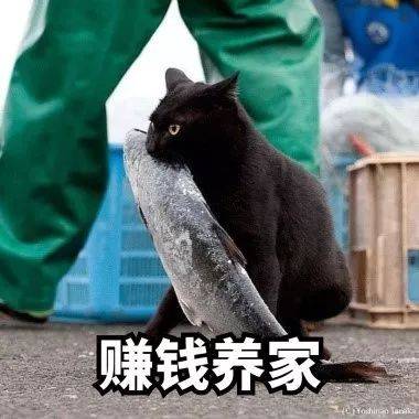 小酷教程丨酷雷曼運營功能課堂-信息類設置-酷雷曼VR全景 小酷教程丨酷雷曼運營功能課堂-信息類設置-酷雷曼VR全景