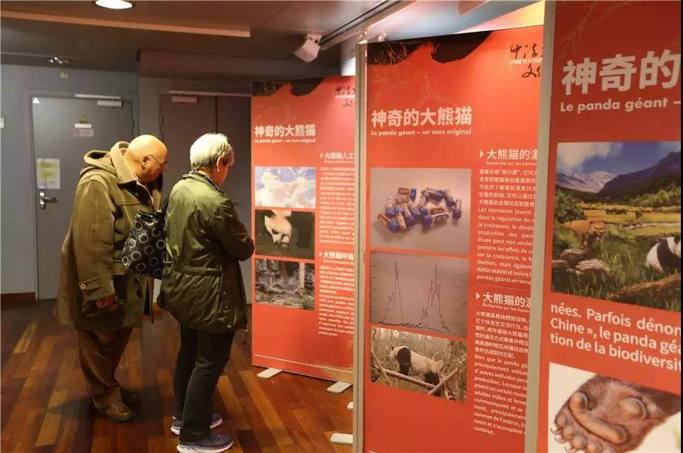 VR賦能，為國賣萌！中法大熊貓文化周開幕-酷雷曼VR全景