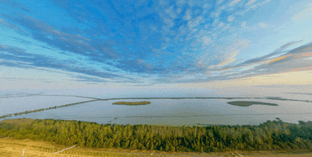 小酷帶你去爬山，你看我還有機會嗎？