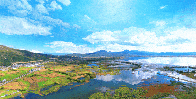 小酷帶你去爬山，你看我還有機會嗎？