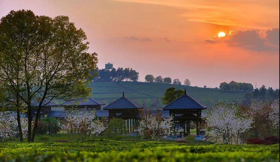 VR智慧旅游助您遍賞江西多景區公園名勝美景-酷雷曼VR全景