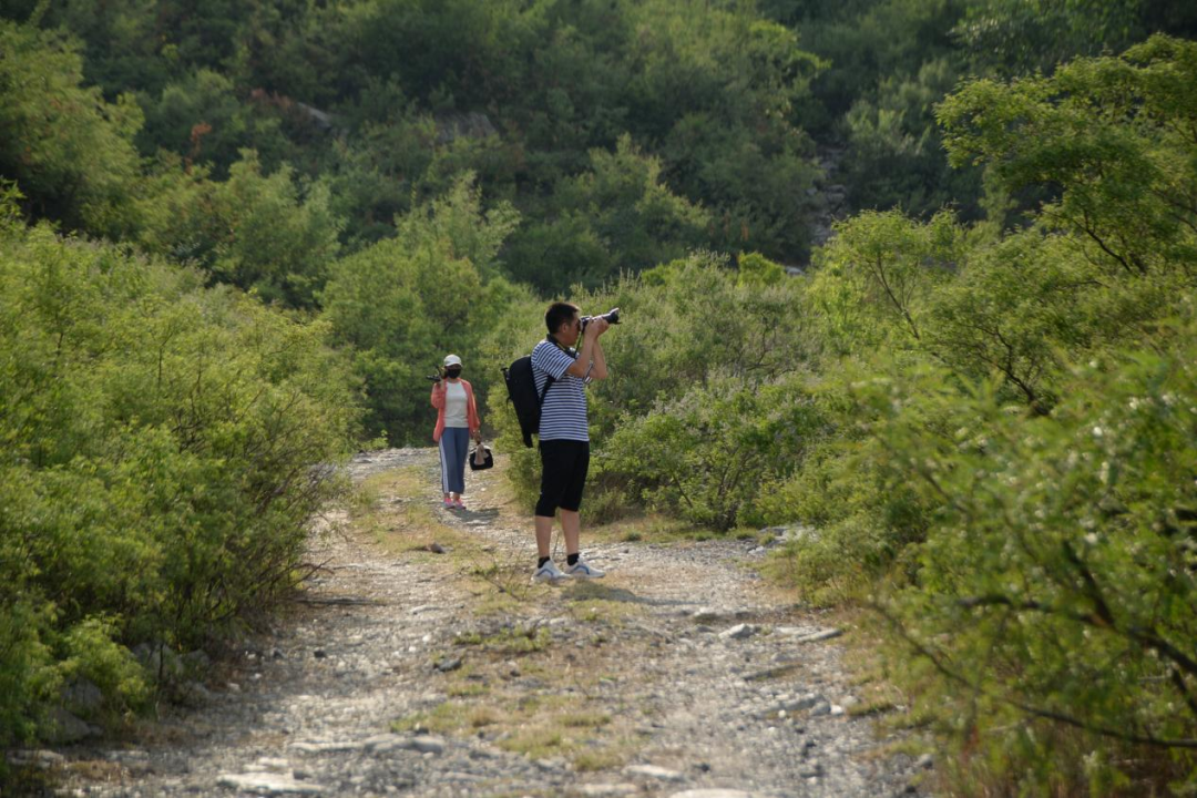 專訪李太昭丨從資深記者到VR全景創業-酷雷曼VR全景
