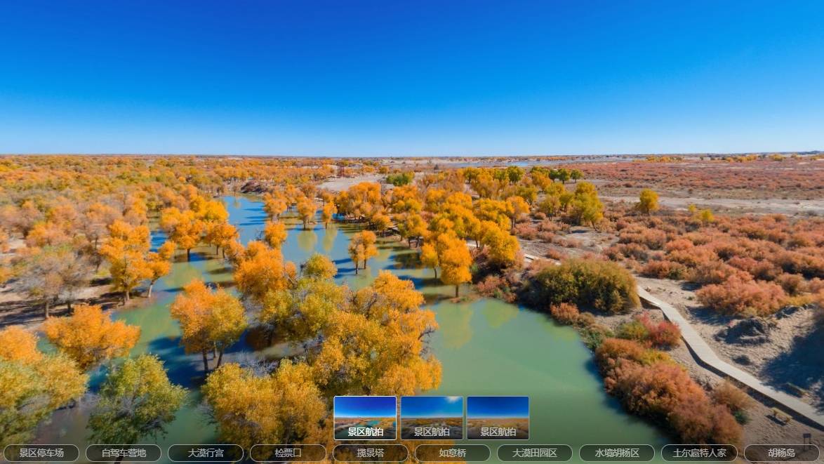 5G+智慧旅游VR 沉浸在家賞胡楊